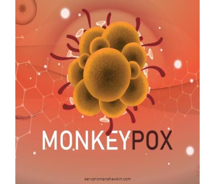 germ spore of monkeypox